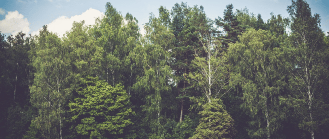 Vacances au camping : s’organiser est indispensable pour apprécier le séjour